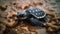 Slow turtle crawls on sand near pond generated by AI