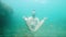 Slowly moving a young bearded man tries to meditate in a lotus pose at the bottom of the sea in the water. The concept