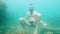 Slowly moving a young bearded man tries to meditate in a lotus pose at the bottom of the sea in the water. The concept