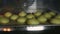 Slowly panorama closeup on custard cookies choux baking on metal pallet in oven