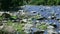 Slowly panorama at wide mountain river stream of water with big stone rapids