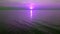 Slowly rising point of view at violet sunset on sea horizon