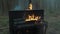 Slowmotion high flames burning black piano and tree trunk in forest woods