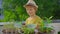 Slowmotion shot of a little boy waters the plants in pots in his home garden on a balcony. Home farming concept