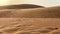 Slowmotion shot of sand dunes in the desert. Wind moves sand