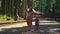 Slowmotion shot of a young woman and her son walking inside the Sangeh monkey forest, on the Bali Island, Indonesia.