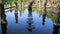 Slowmotion shot of a young woman tourist visiting the Tirta Gangga water palace, former royal palace on the Bali Island