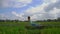 Slowmotion steadicam shot of a young woman practicing yoga on a beautiful rice field