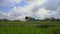Slowmotion steadicam shot of a young woman practicing yoga on a beautiful rice field