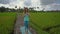 Slowmotion steadicam shot of a young woman practicing yoga on a beautiful rice field