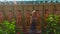 Slowmotion steadycam shot of a woman photografing a raw of Buddha statues in a Kek Lok Si temple on Penang island