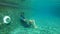 Slowmotion underwater shot of a young man freediver training breathholding in a swimming pool. Healthy lifestyle concept