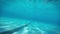 Slowmotion Underwater walking on the pool bottom