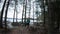 Slowmotion video of a solo woman traveler walking through the snowy forest