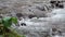 Slowmotion Waterfall Closeup Through Big Rocks