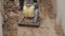 Slowmotion worker use gasoline plate compactor on sand in ditch at building site