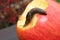 Slug Crawling on a Red Apple With a Bite in It