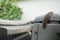 A slug crawls on a plastic composter in the garden in June. Berlin, Germany