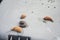 Slugs crawl on a plastic composter in the garden in June. Berlin, Germany