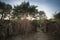 Slum in a village in interior sindh, during sunset