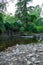 A Small Abandoned Dam in a Creek in Elkins Park, Pennsylvania