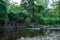 A Small Abandoned Dam in a Creek in Elkins Park, Pennsylvania