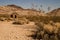 Small abandoned house in Mojave Desert ghost town Rhyolite, Nevada, USA