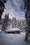 Small abandoned shed in the forest shot during winter