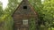 Small abandoned wooden house in the village among the greenery in summer.