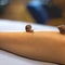 Small Achatina snails crawl on a woman`s leg