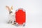 Small adorable bunny or rabbit traveler with red luggage with airplane, going on vacation. Travel concept on white background