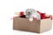 Small adorable grey kitten looking to side while sitting in decorated cardboard box being birthday present