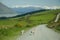 Small adorable lambs walking on the road surrounded by mountains in New Zealand