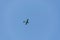 Small aeroplane flying on blue sky background over Sredna Gora mountain