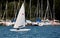 Small agile fast sailing boat cruises in front of the jetty with leisure boats