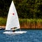 Small agile fast sailing boat cruising in the lake in front of the reed belt