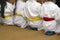 Small aikido fighters