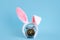 Small alarm clock and bunny ears on pastel blue background. Eastertime minimal concept