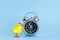 Small alarm clock and yellw chicken on pastel blue background. Eastertime minimal concept