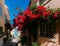 Small alleyway in Cascais, Portugal with bougainvillea flowers