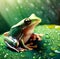 Small amazonas frog sitting on a big green jungle leaf