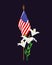 A small American flag and white lilies on a black background