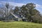 A small American steading with its associated Aermotor water pumping Windmill in Brazos Bend State Park, Texas.