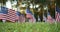 Small American, US or USA, flags waving in the wind outside in the grass. For Memorial day or Veterans day