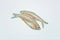 Small anchovy mola carplet or mourala fish on white background