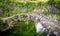 Small ancient bridge and plants of wisteria in the Garden of Ninfa