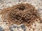 Small anthill sand