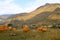 Small apiary at the rural foothills of Georgia Country