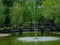 Small arching wooden foot bridge over small green pond