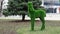 A small architectural structure, a green foal in the town square.